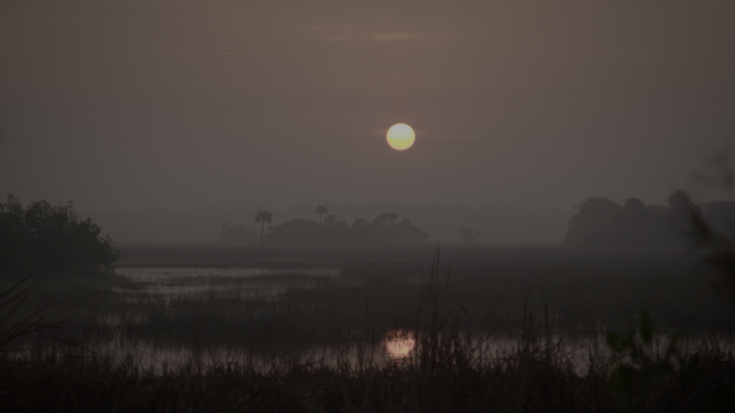 In this video still, the sun rises into the sky on a foggy morning above sawgrass marsh and tree islands. The sun reflects in the water below.