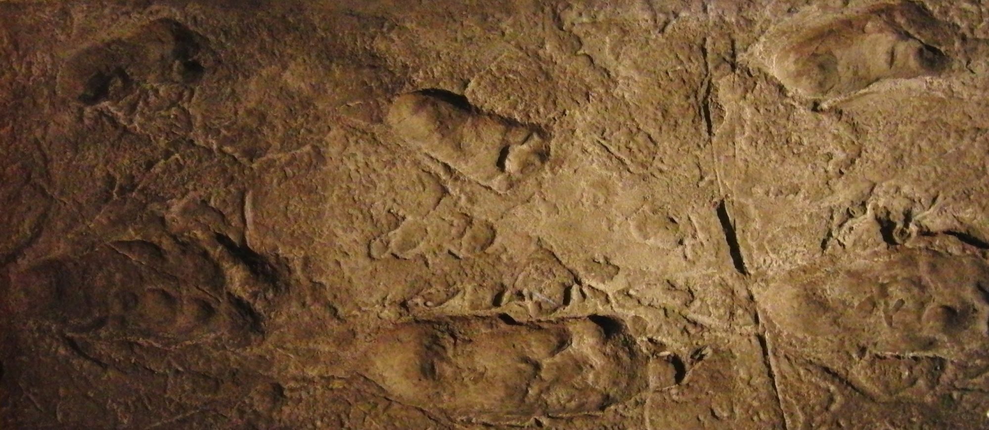 An aerial view of a replica of the Laetoli footprints