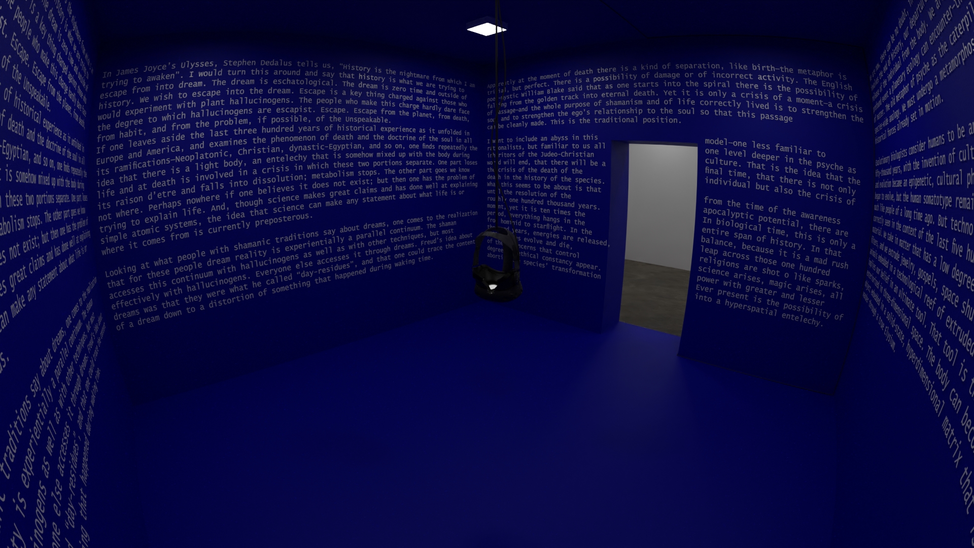 This is a blue room with text on the walls by the artist Doireann O'malley