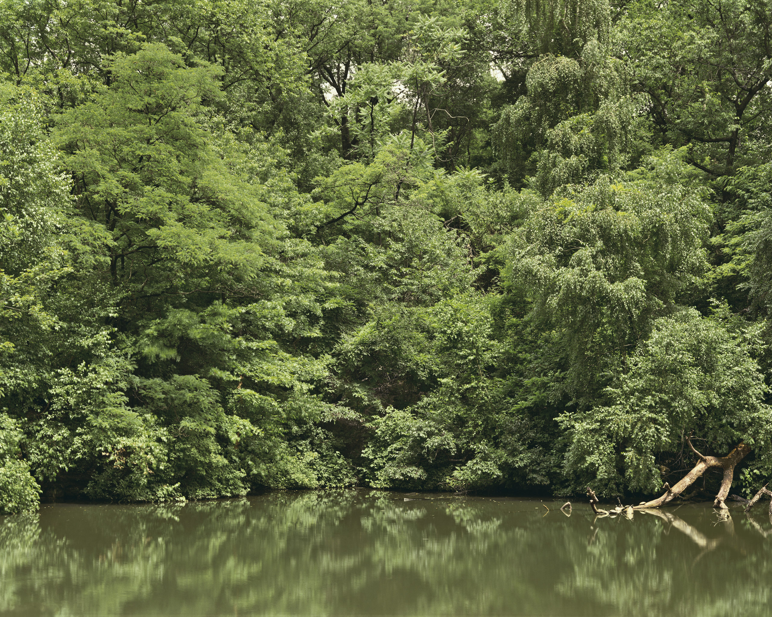 This is a photograph of green trees over water taken by artist Trevor Paglen.