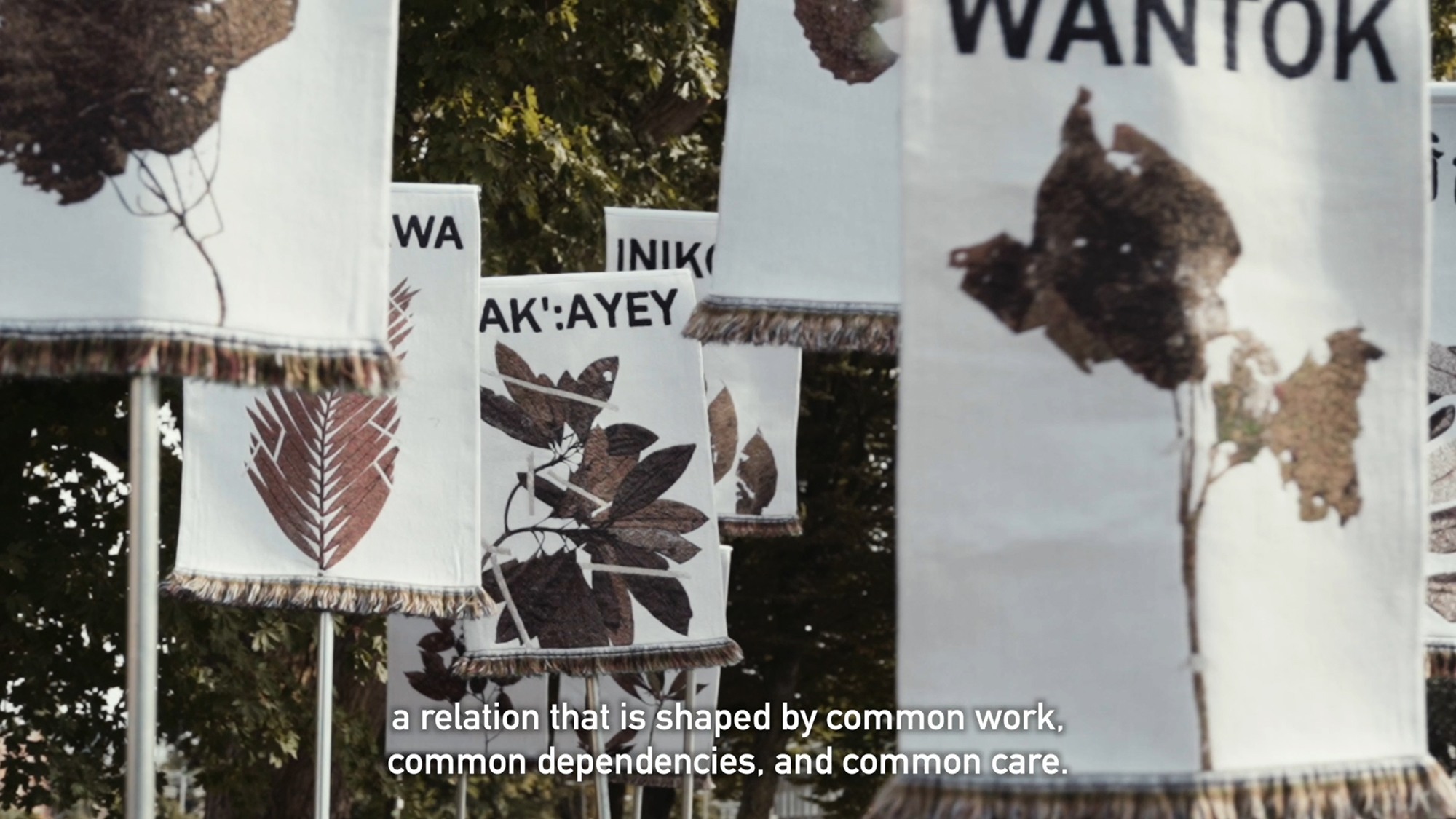 A still with caption underneath showing various flora upon white banners raised high.