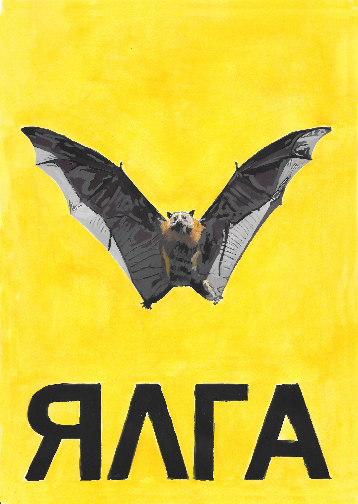 yellow background showing a now extinct bat with a Erzian word underneath
