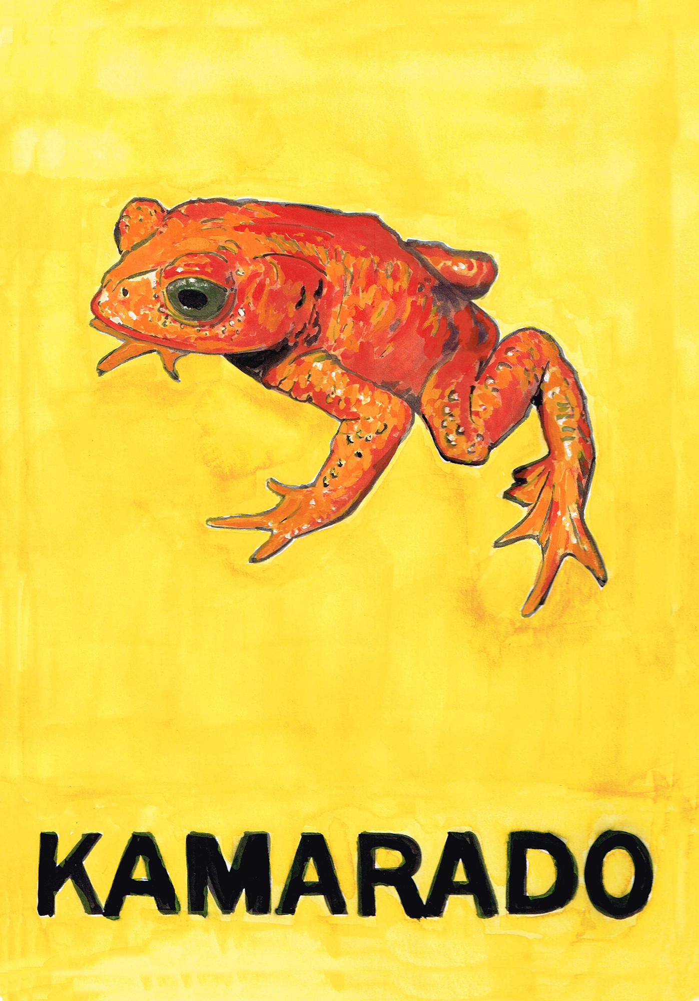 yellow background showing a now extinct frog with a Esperanto word underneath