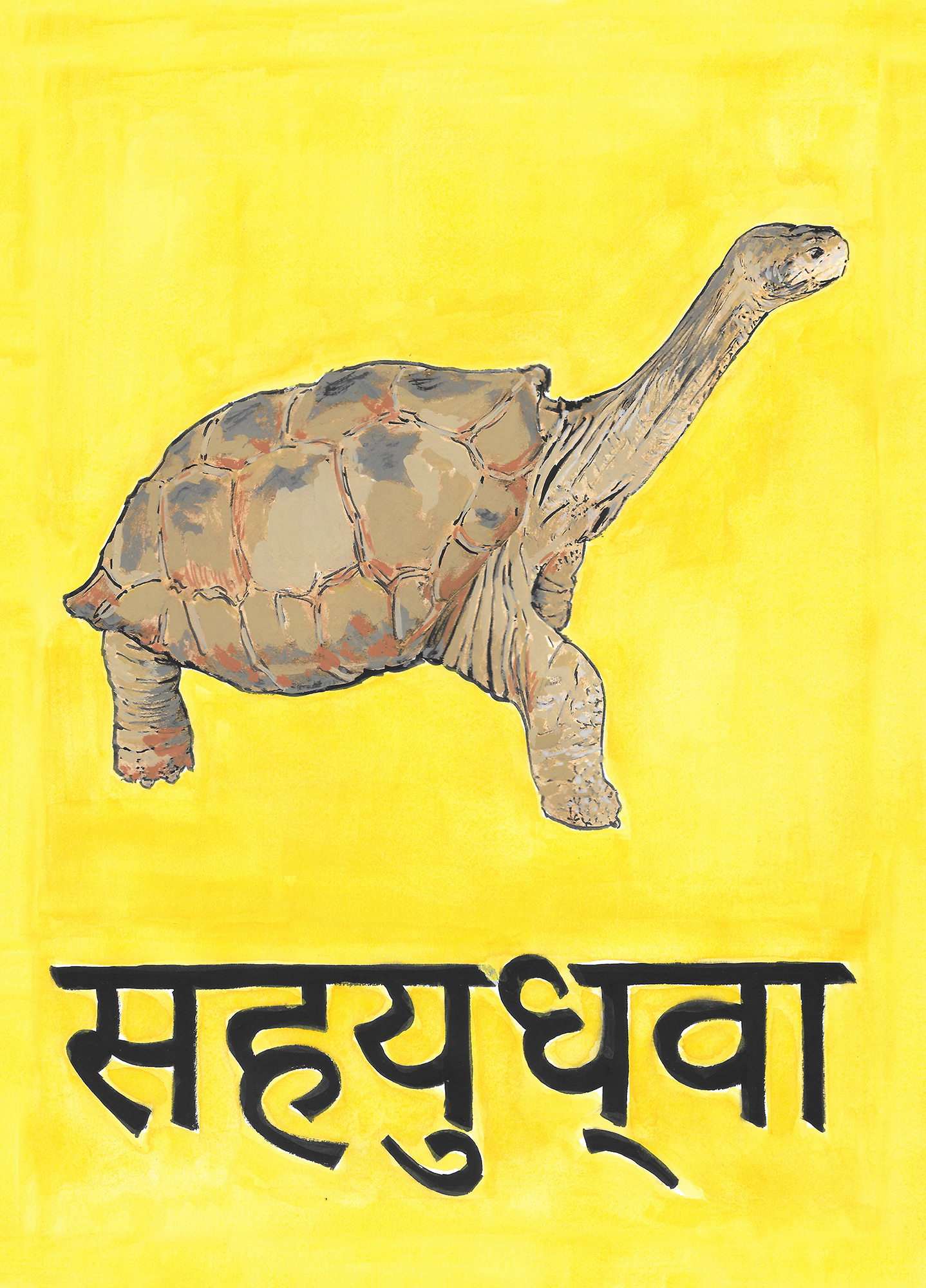yellow background showing a now extinct turtle with a Sanskrit word underneath