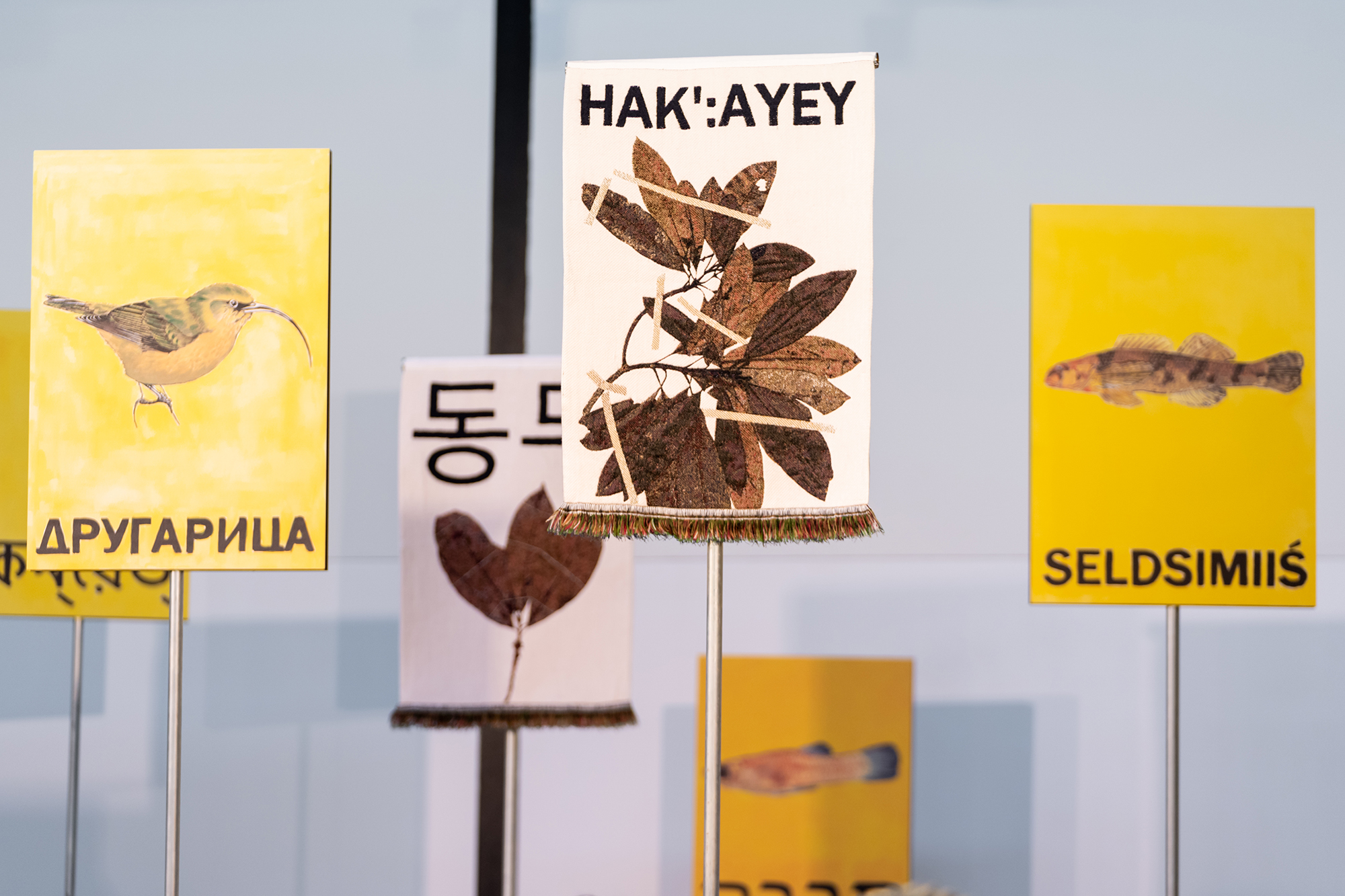 A display of yellow and white banners featuring extinct animals and flora in various languages