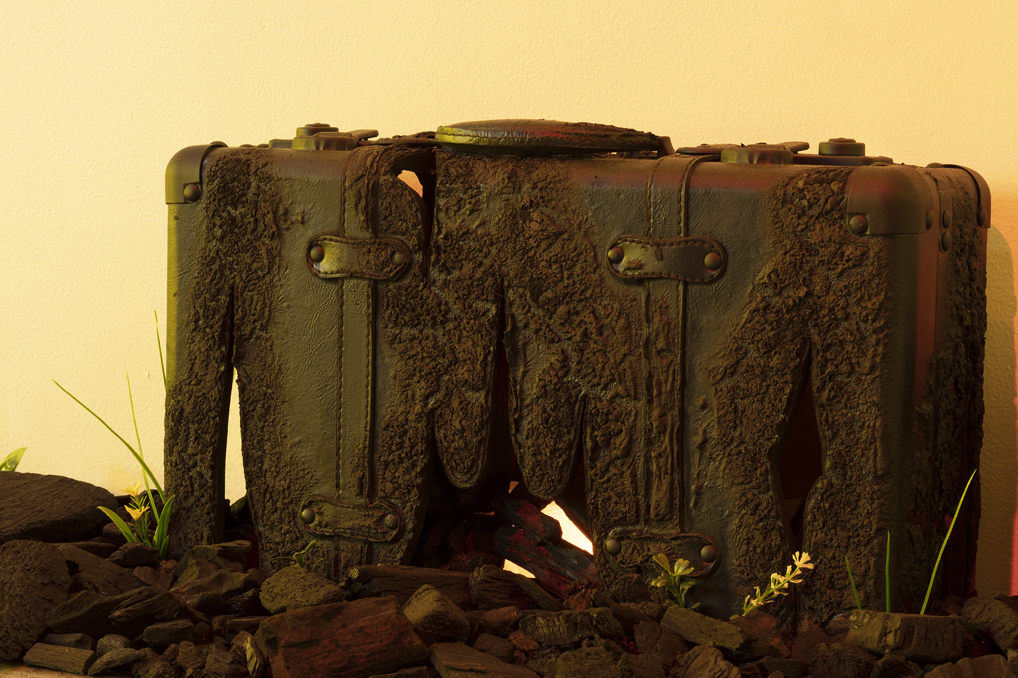 A charred suitcase rests up against a white, cream colored wall with small bits of green flora sprouting from the ground