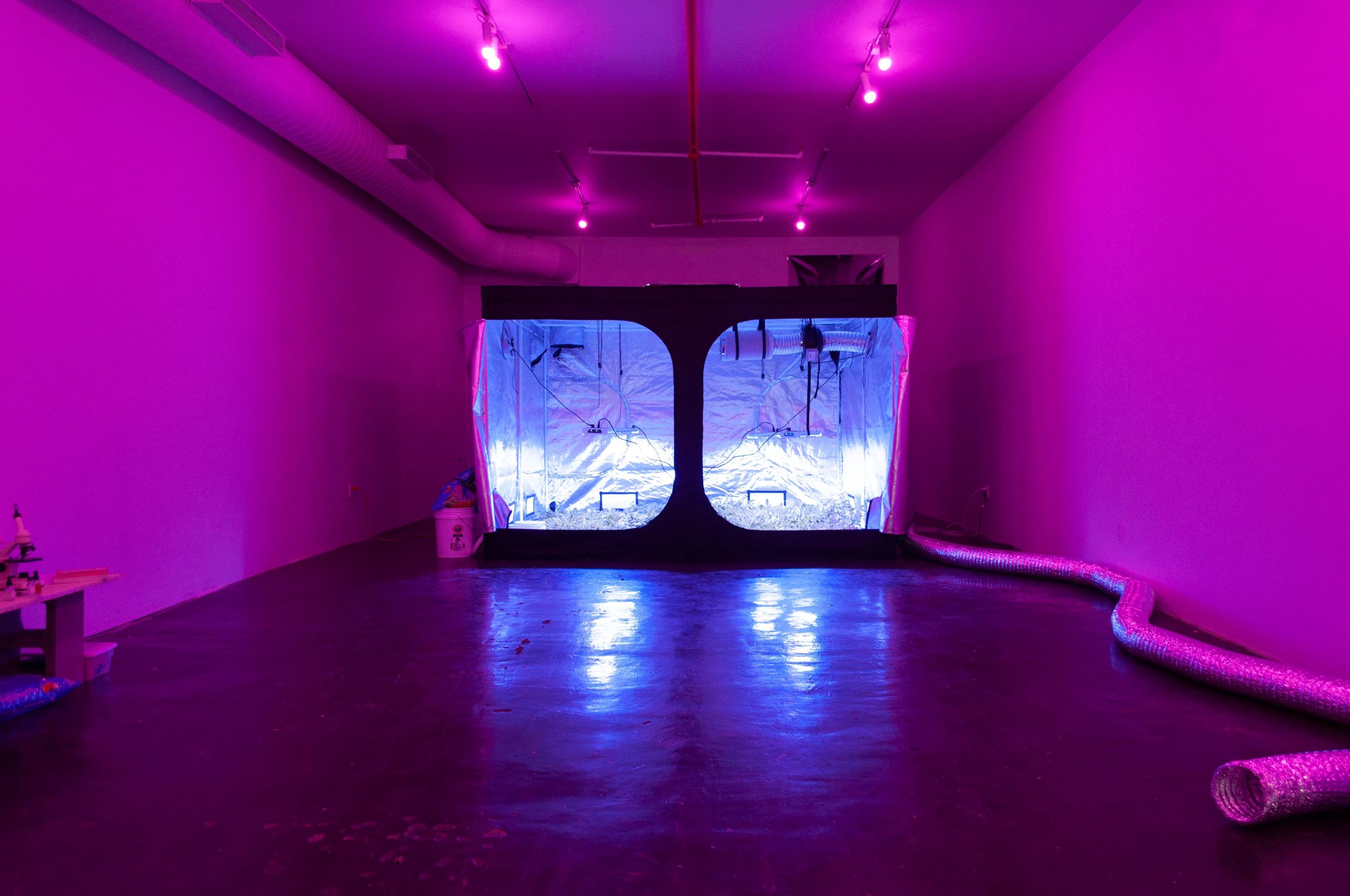 Large room with purple light with a long cylindrical tube across the floor and a tent in the far background.