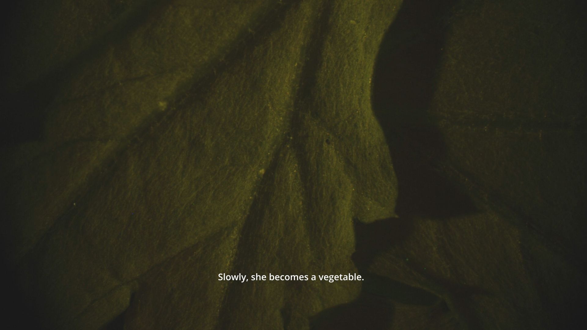 Close-up shot from film of a green leaf with caption: 