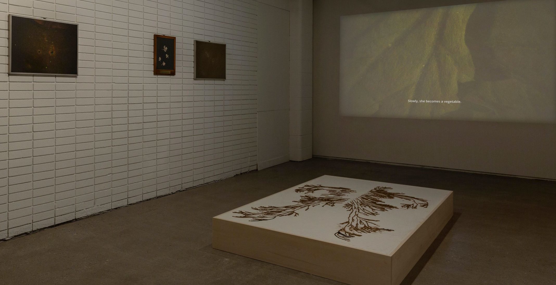 A shot of the gallery from the right with the large canvas in the middle of the floor as the center anchor, three hung portraits on the left wall, and a shot of the film projected on the farthest wall.