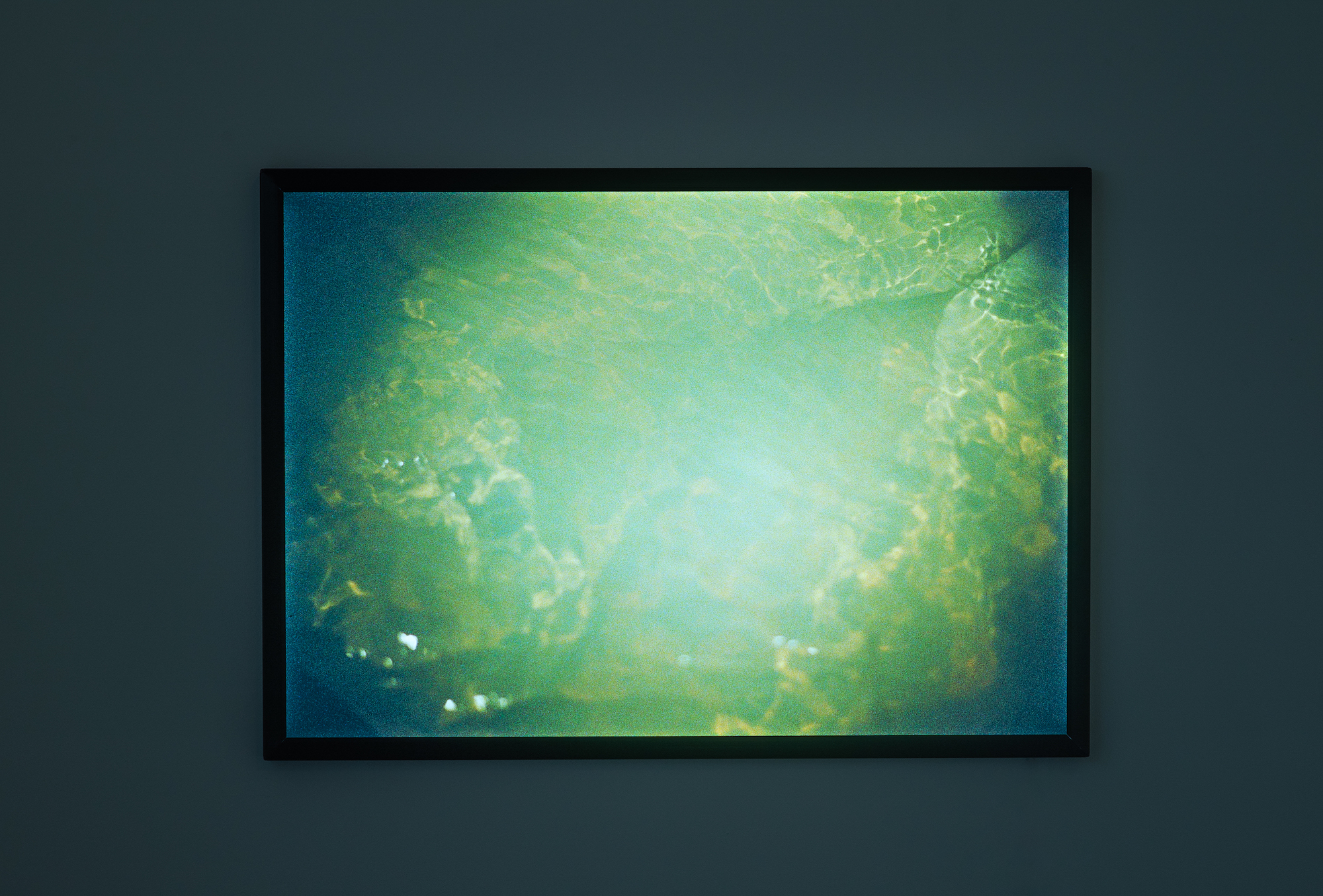 A photograph, backlit, illuminated by a lightbox of a shimmery green water set in a dark room.