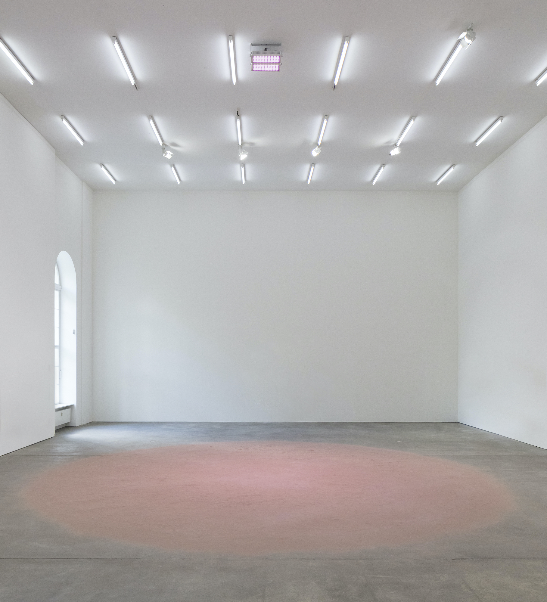 A large circle of pink sand is spread on the floor with blank gallery walls.