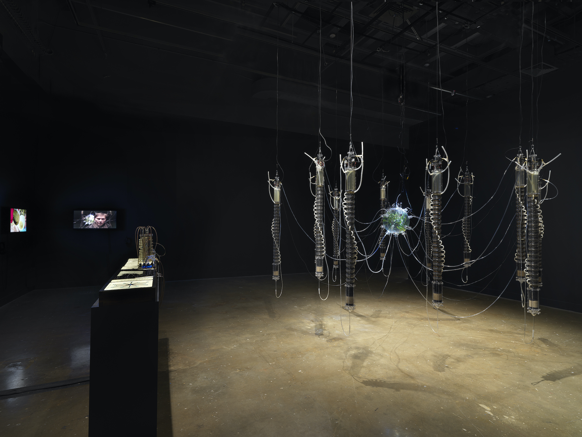 In a dark room, a large hanging sculpture made of glass, algae, and water hung from above that resembles a spider, across from a table lit to display scientific documents. Adjacent is a two - channel video.