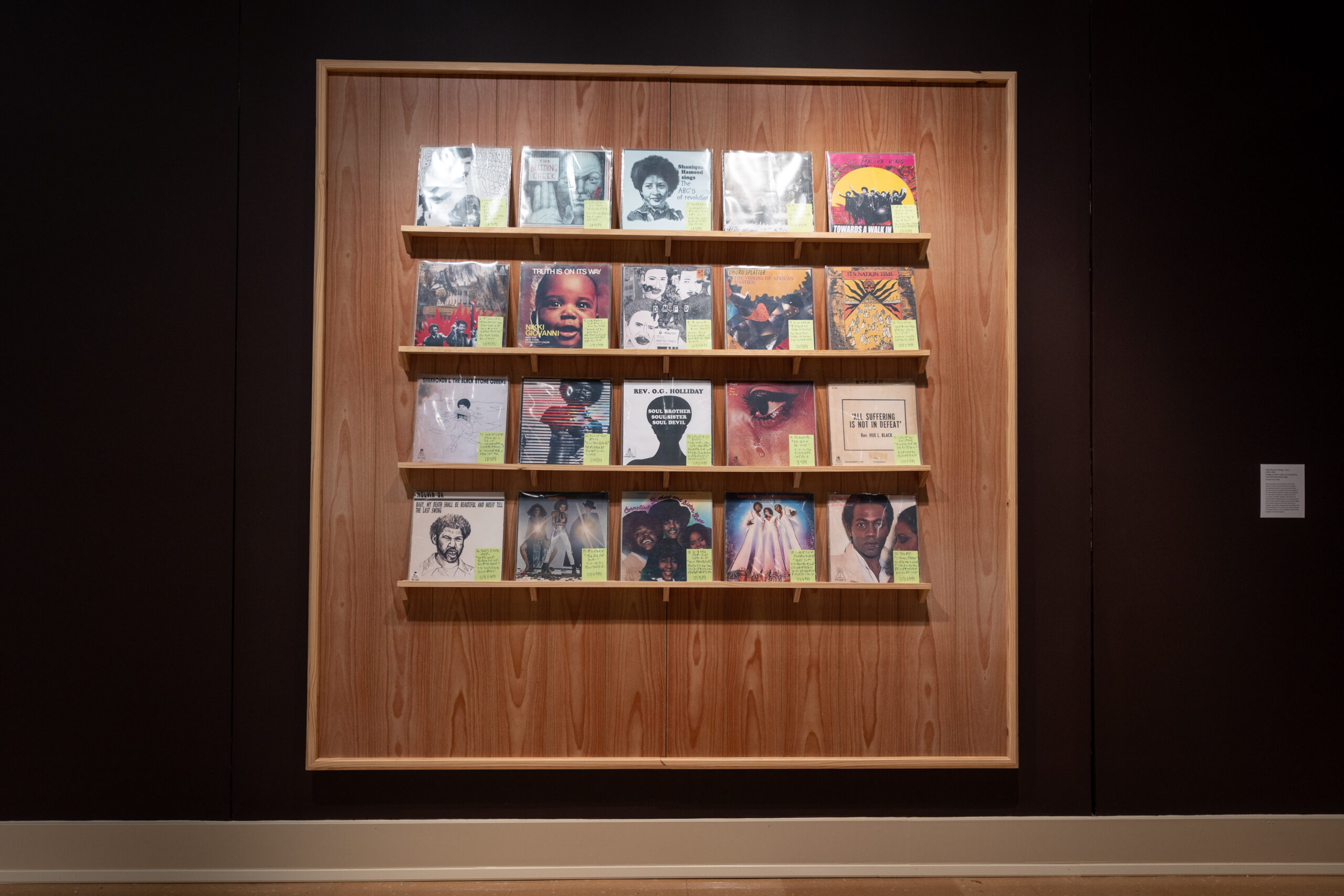 Records displayed on a wooden shelf