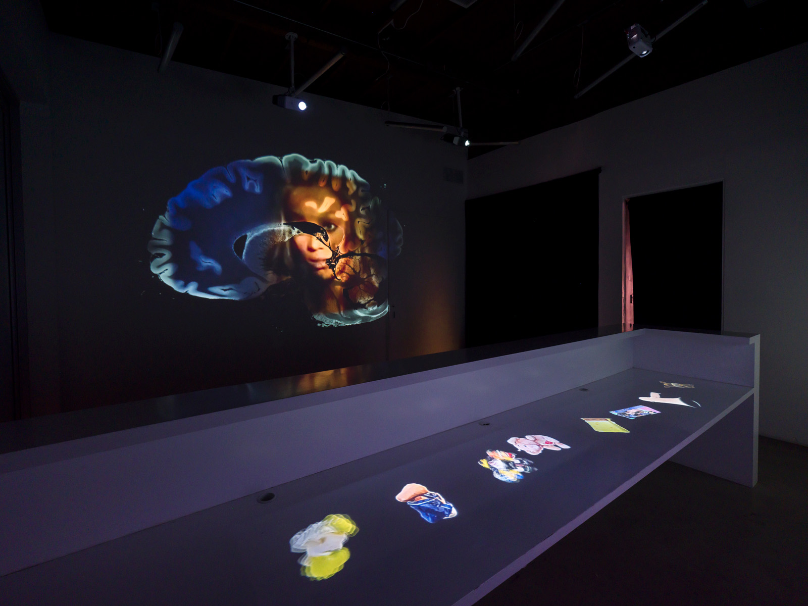 The profile of a brain is projected onto the wall with a video inside of it, displaying a woman looking outwards is projected on to the wall in a dimly lit room, in the foreground is a long desk with various items projected onto it from the ceiling downwards.
