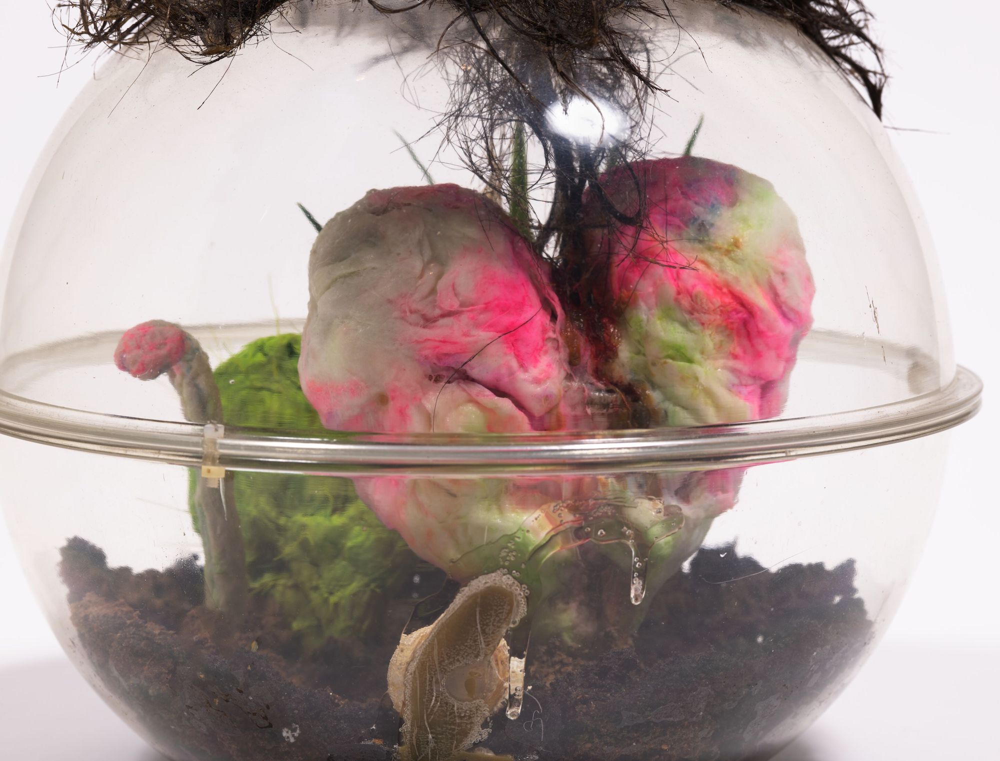 A clear spherical enclosure houses soil like a terrarium with bits of hair, a plastic or felt like heart and what appears to be a slug leaving a trail of mucus across the surfce.