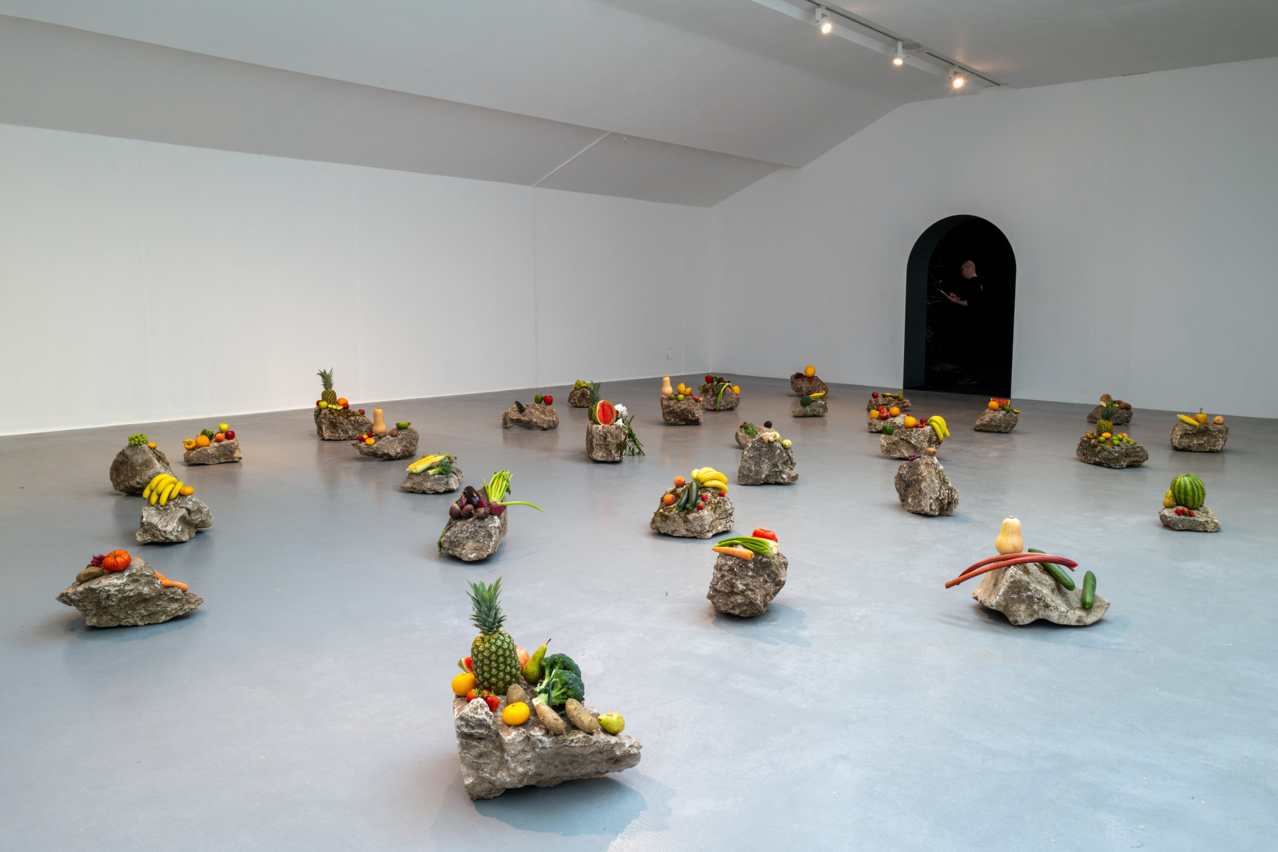 A large white room with thirty medium sized rocks scattered across the floor containing various fruits and vegetables on each surface.