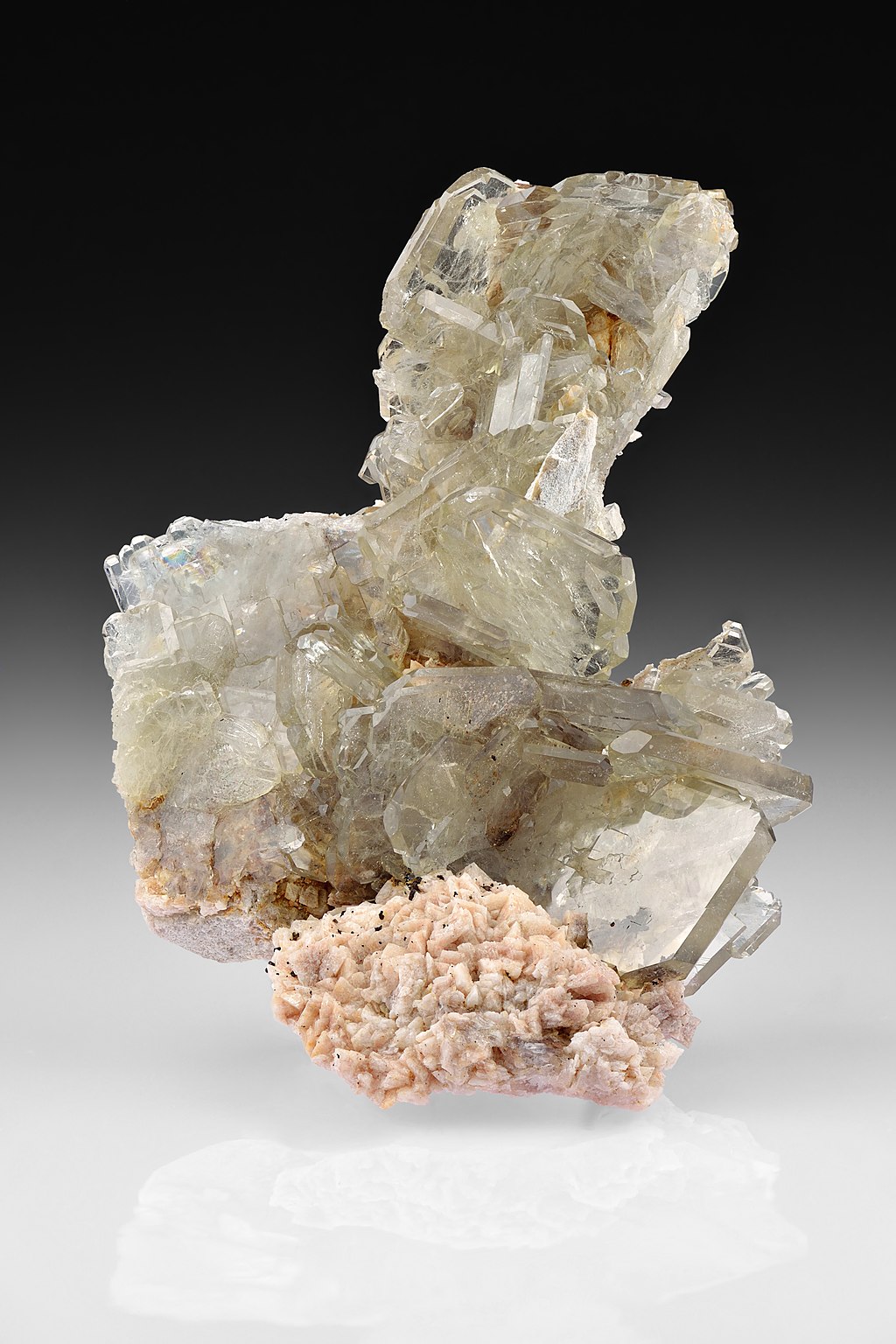 On a reflective white ground sits the grayish crystalline fragment of Barite, jutting upwards and out in its many facets as it contrasts against a black background.
