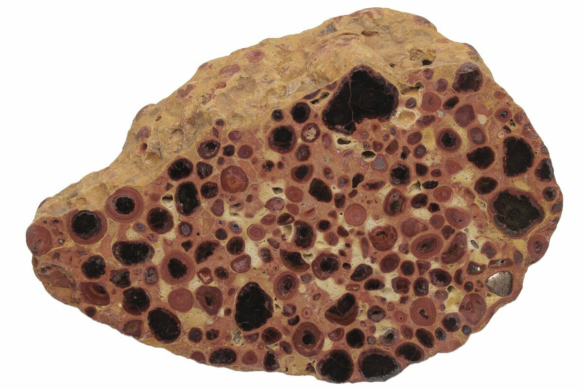 Against a blank white background is a polished piece of Bauxite, with many smooth granule pockets of various colors ranging from dark browns to deep reds.