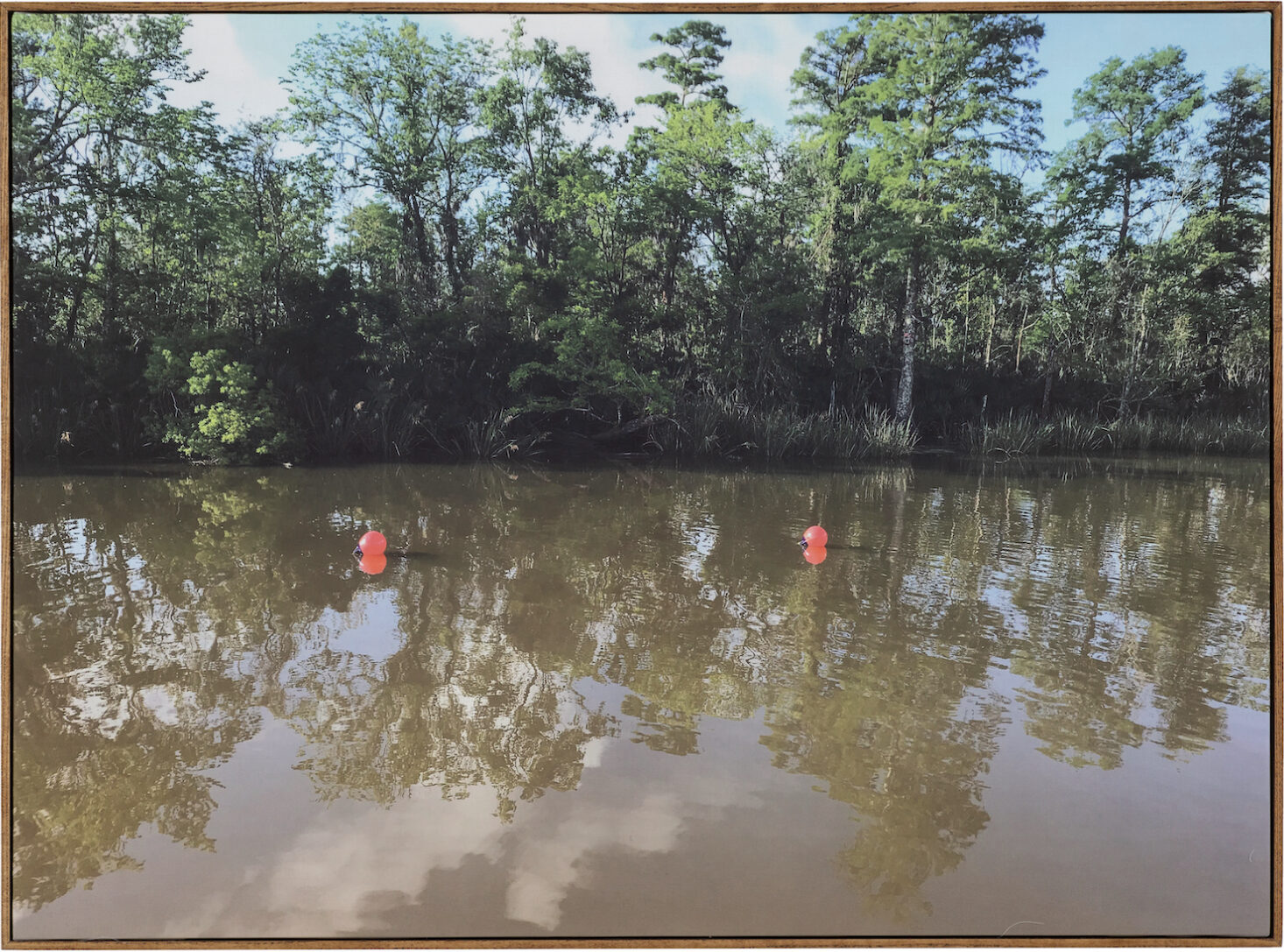 body of water with forest landscape in the horizon and two red balloons